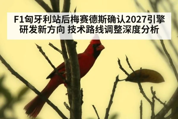 F1匈牙利站后梅赛德斯确认2027引擎研发新方向 技术路线调整深度分析